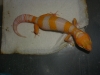 DSCN2876.JPG