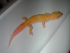 DSCN3369.JPG