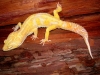 DSCN3554.JPG