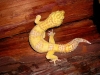 DSCN3555.JPG