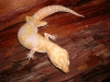 DSCN3561.JPG