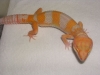 DSCN3610.JPG