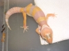 DSCN3615.JPG