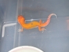 DSCN4194.JPG