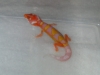 DSCN4336.JPG