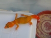 DSCN4338.JPG