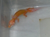 DSCN4384.JPG