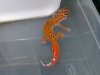 DSCN4395.JPG