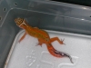 DSCN4398.JPG