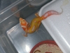 DSCN4590.JPG
