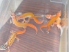 DSCN4609.JPG