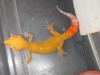 DSCN4654.JPG