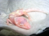 DSCN4912.JPG
