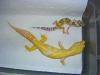 DSCN4913.JPG