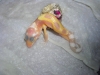 DSCN4919.JPG