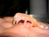 DSCN4930.JPG