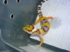 DSCN4960.JPG