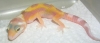 DSCN4962.JPG