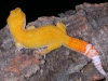 DSCN4971.JPG