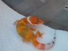 DSCN5689.jpg