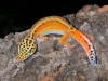 DSCN5799.JPG