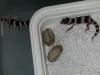 DSCN5852.JPG