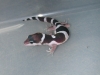 DSCN5853.JPG