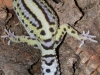 DSCN6236.JPG