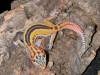 DSCN6244.JPG