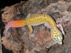 DSCN6246.JPG