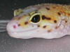 DSCN6251.JPG
