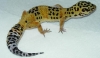 Dscn2330.jpg