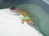 Dscn3157.jpg