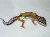 Dscn3176.jpg