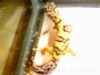 PHOT0089.JPG