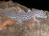 dscn5036.jpg