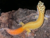 dscn5037.jpg
