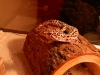 pets_004.JPG