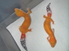 tangs.jpg