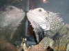BABY032005.jpg