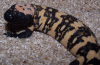 3045G4-100_0930.gif