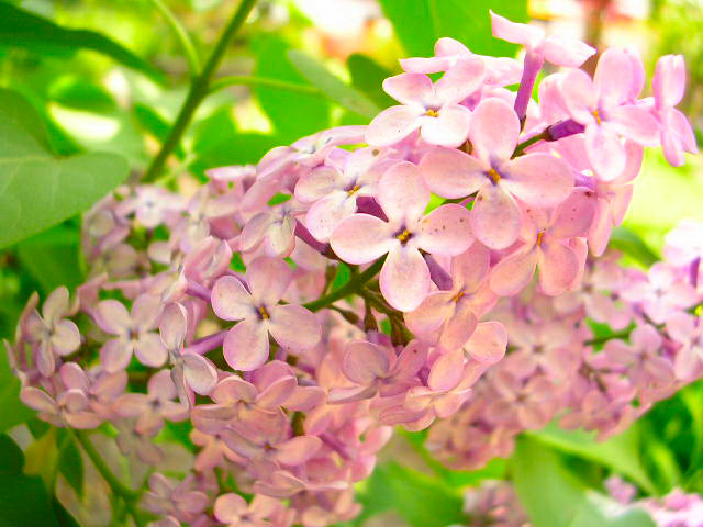 DSCN3948