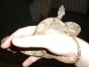 DeeDee01.jpg