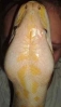 TawniandPuca.jpg