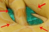 boa_ad_detail.jpg