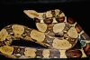 Apaguara-09031.jpg
