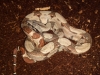2012-04-19_12-13-22_710.jpg