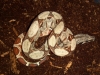2012-04-19_12-13-41_870.jpg