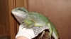 DSC08878.JPG