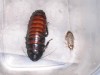 104031Mike_s_Monitors_238-med3.jpg